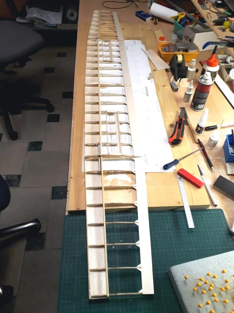 X-Dream 2m - Image 7